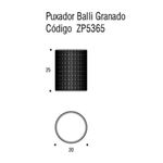 ZP5365_TECNICO