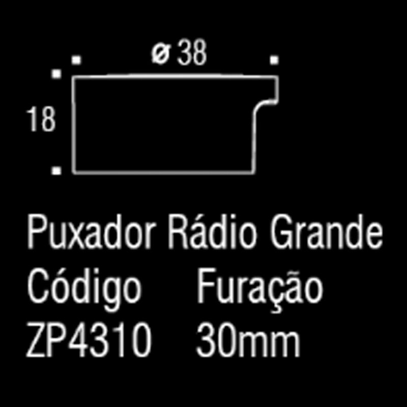 ZP4310.A00_TECNICO